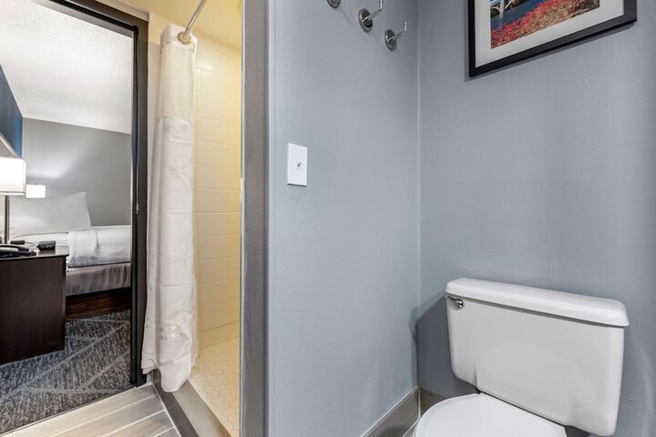 1 King Bed Sitting Area Work Desk Microwave and Refrigerator Full Breakfast (12 of 17)