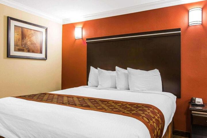 1 King Bed (9 of 11)
