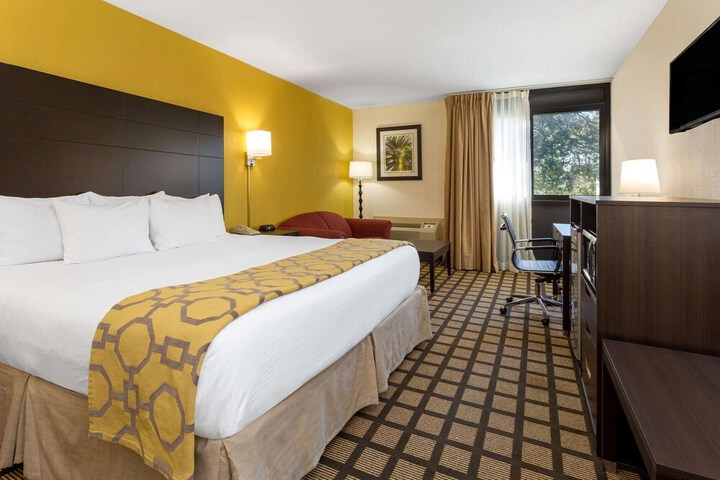 1 King Bed (6 of 6)