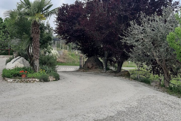 Property Grounds 30 of 40