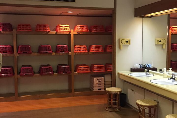 Spa and Wellness