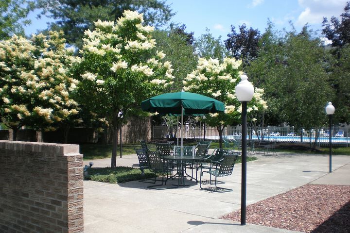 BBQ/picnic area
