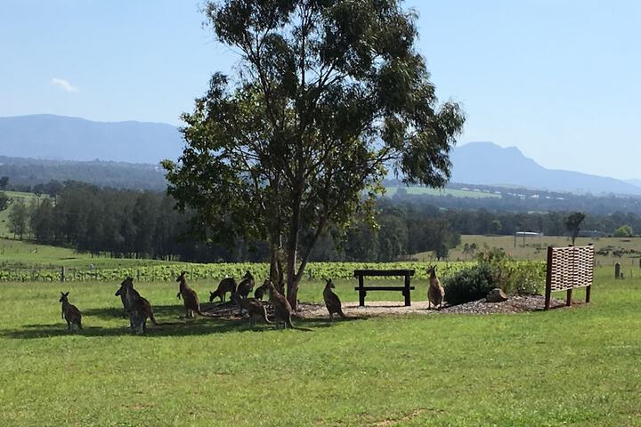 Hotel View 109 of 112