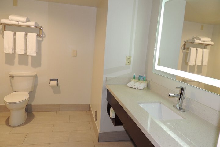 1 King Bed Suite (16 of 23)