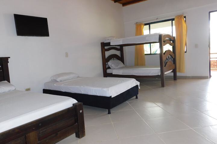 Room 4 of 62