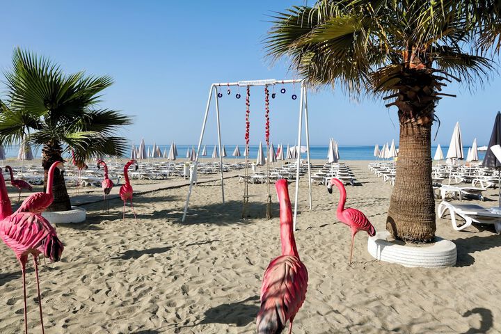 Beach 65 of 74