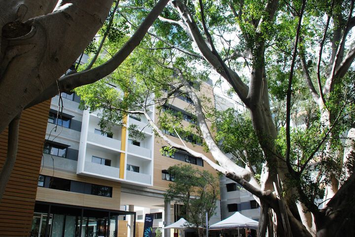 Property Grounds 14 of 16