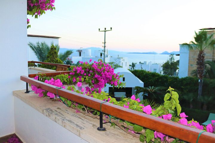 Terrace/Patio 15 of 46
