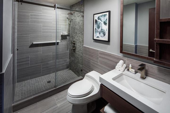 1 King Communication Mobility Accessible Roll in Shower (4 of 7)