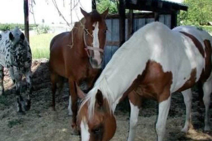 Property Grounds 21 of 35