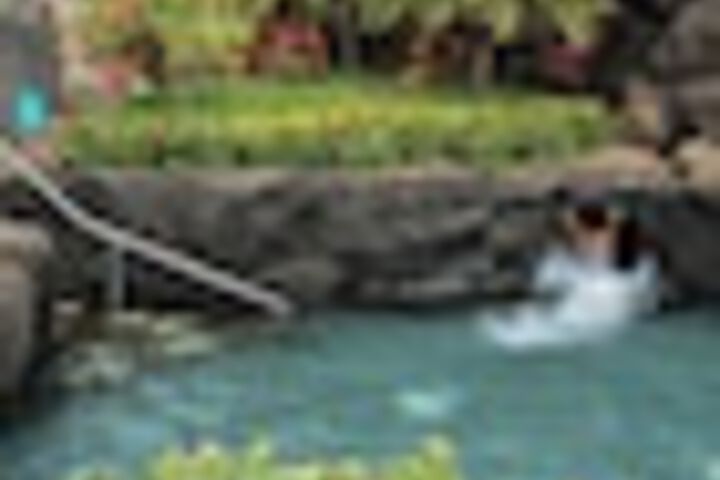 Pool 65 of 192