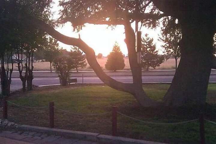 View from property
