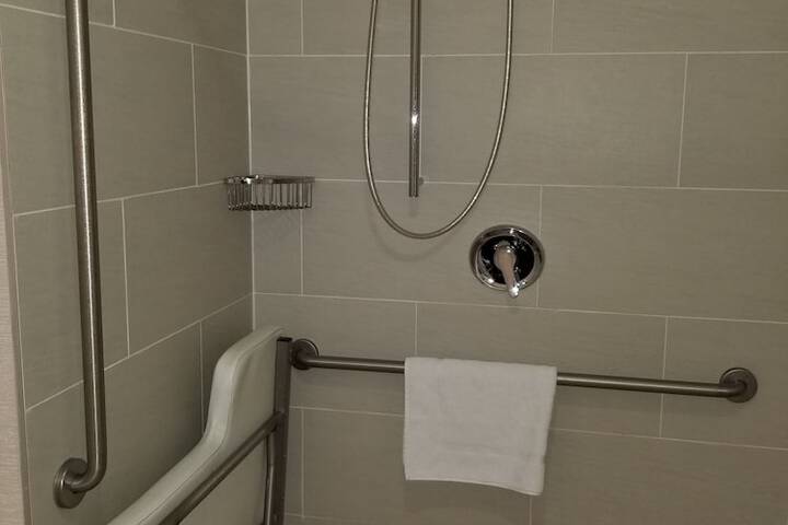 1 King Bed Accessible Bathtub (2 of 22)