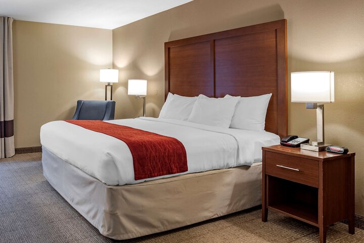1 King Bed Accessible (10 of 22)