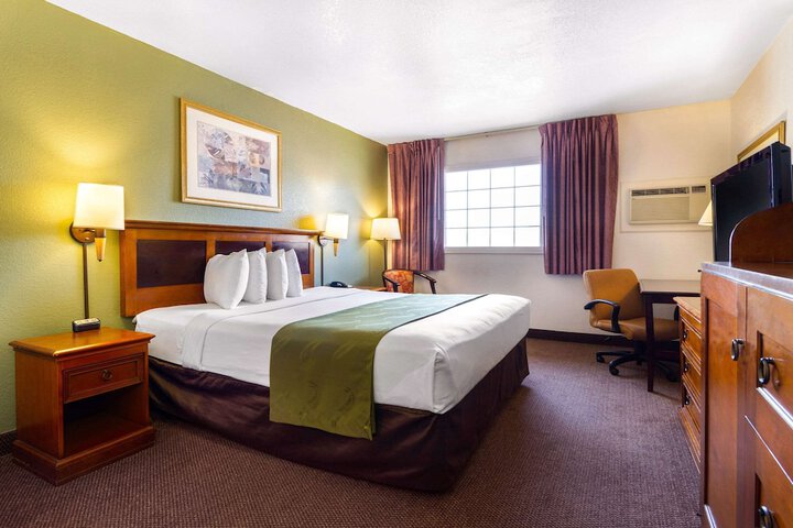 Standard | King Bed (4 of 16)