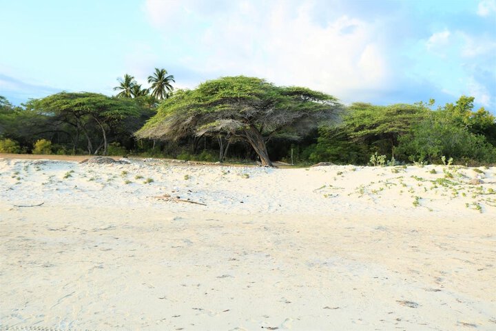 Beach 39 of 56