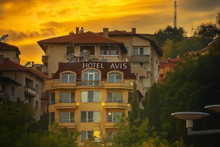 Hotel Avis