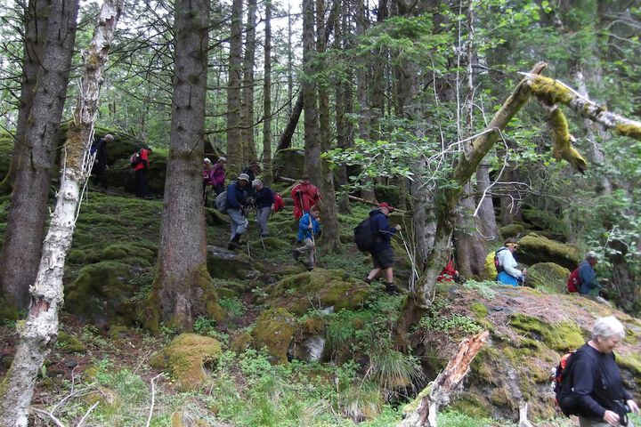 Outdoor Activities 62 of 102