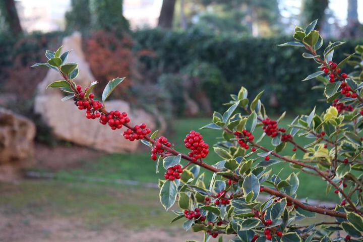 Fitness Center Photo