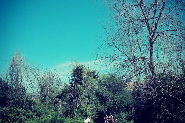 Hiking