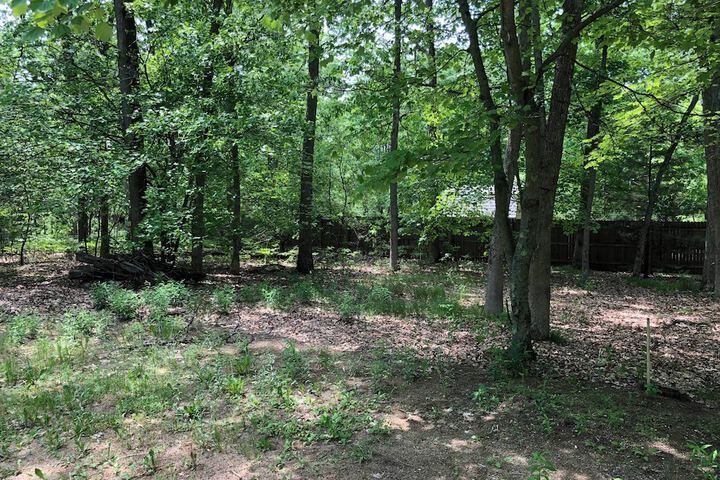 Property Grounds 19 of 24
