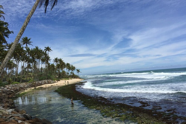 Beach 51 of 62