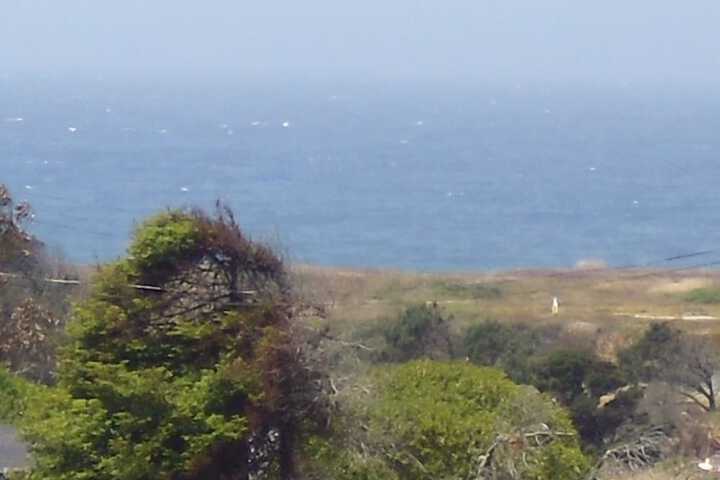 Hotel View 75 of 76