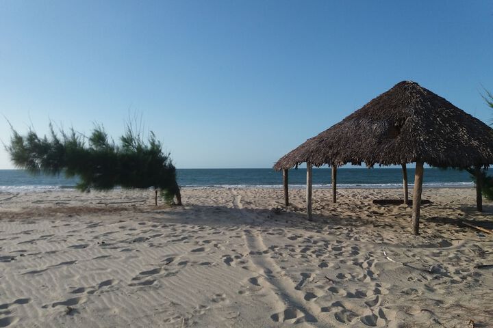 Beach 50 of 55