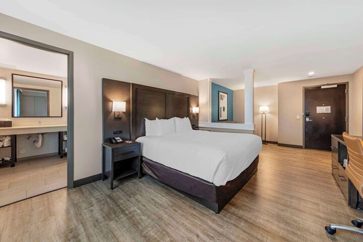 1 King Bed (10 of 26)