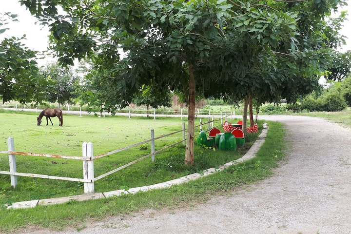 Property Grounds 53 of 64