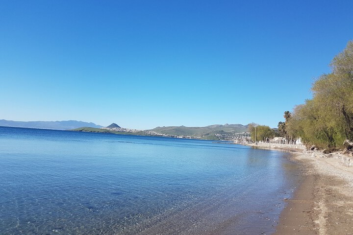 Beach 37 of 63