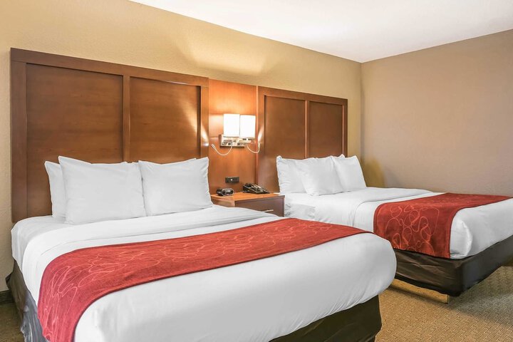 Suite 2 Queen Beds (6 of 17)