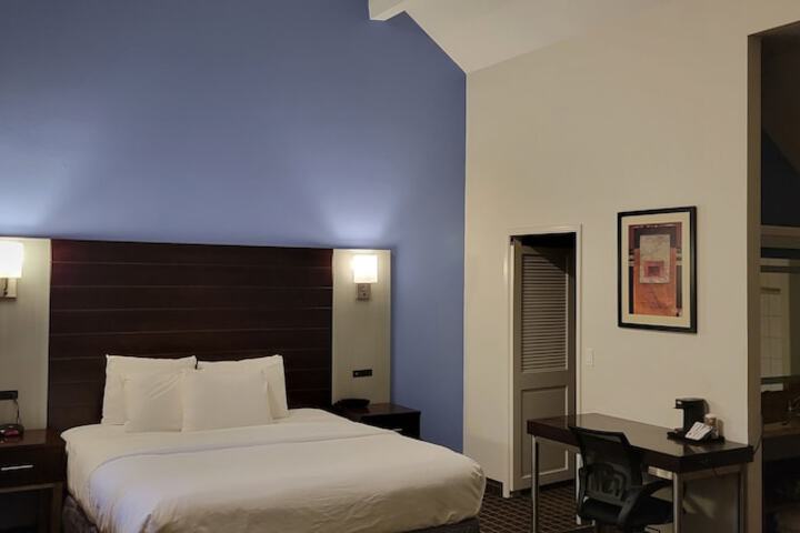 Standard with 1 King Bed (26 of 30)