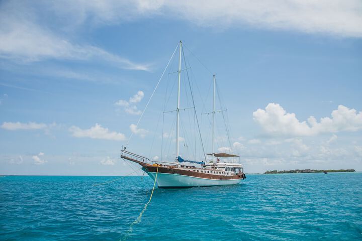 Photo of Akoya Pearl