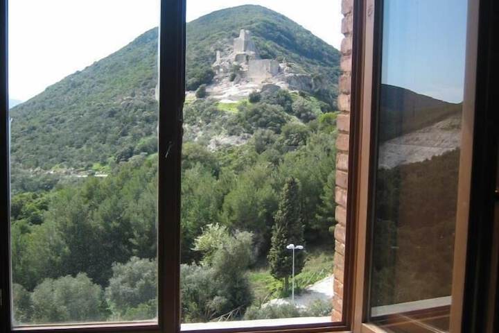 View from room