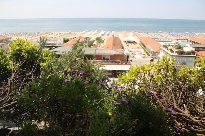 Hotel View 61 of 62