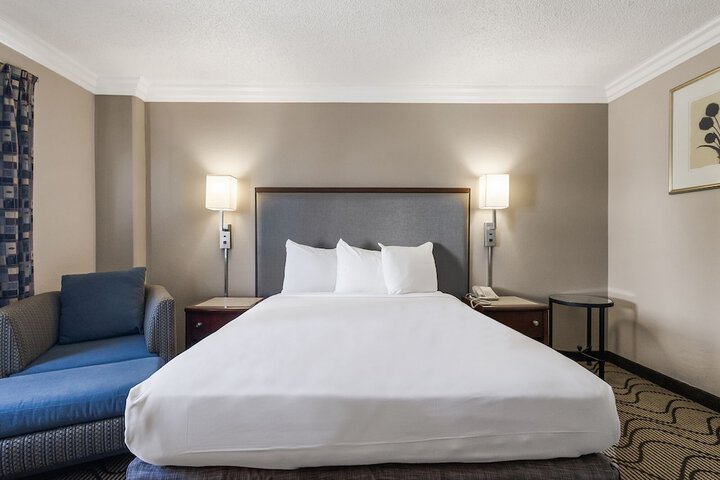 1 Queen Bed (19 of 23)