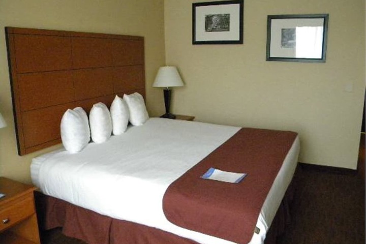 1 King Bed Mobility Accessible (8 of 10)