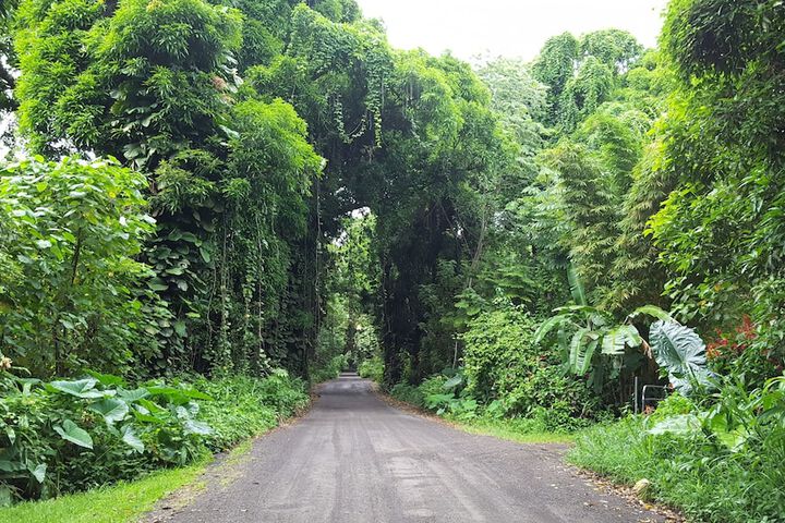 Property Grounds 30 of 42