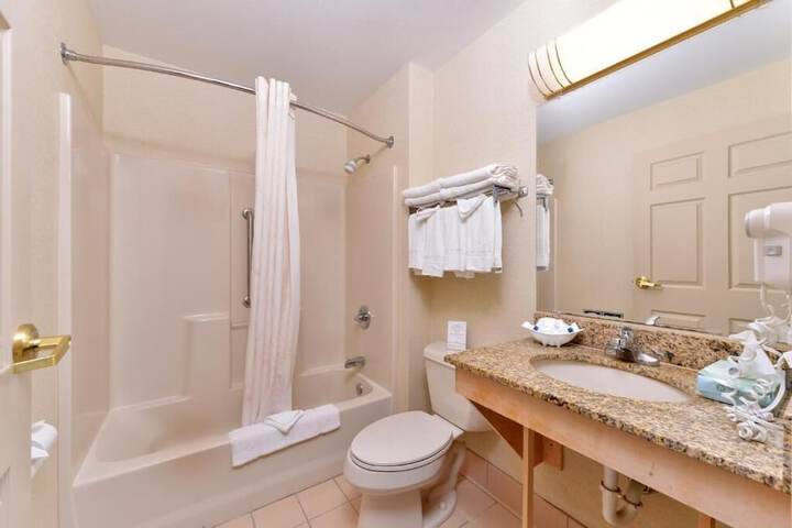 1 King Bed Suite (8 of 9)