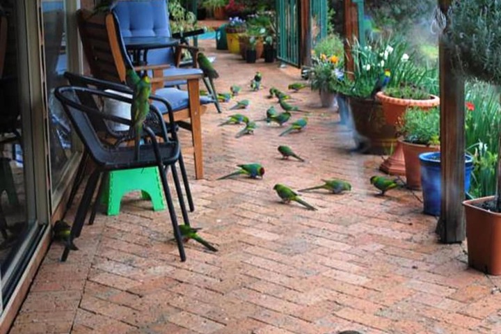 Property Grounds 13 of 26