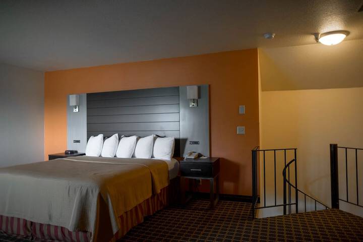 Standard with 1 King Bed (22 of 30)