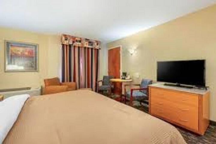 1 King Bed (19 of 21)