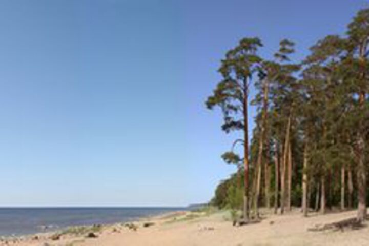 Beach 3 of 31