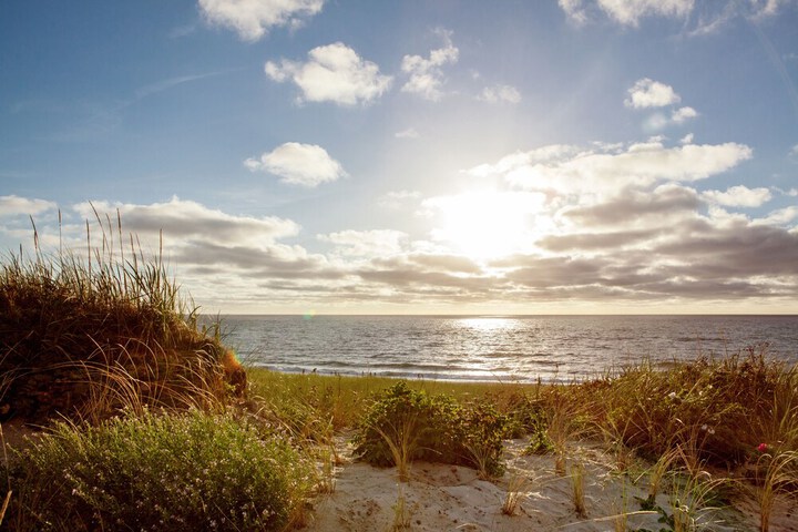 Beach 61 of 75