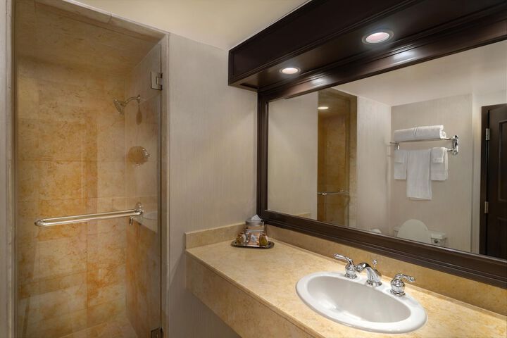 Deluxe Room with 1 Kingsize Bed (9 of 11)