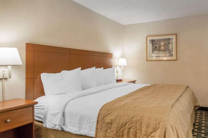1 King Bed (2 of 9)