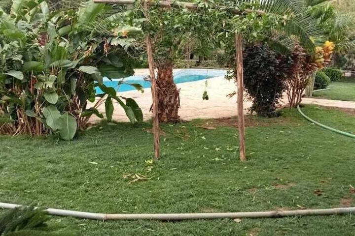 Pool 3 of 52