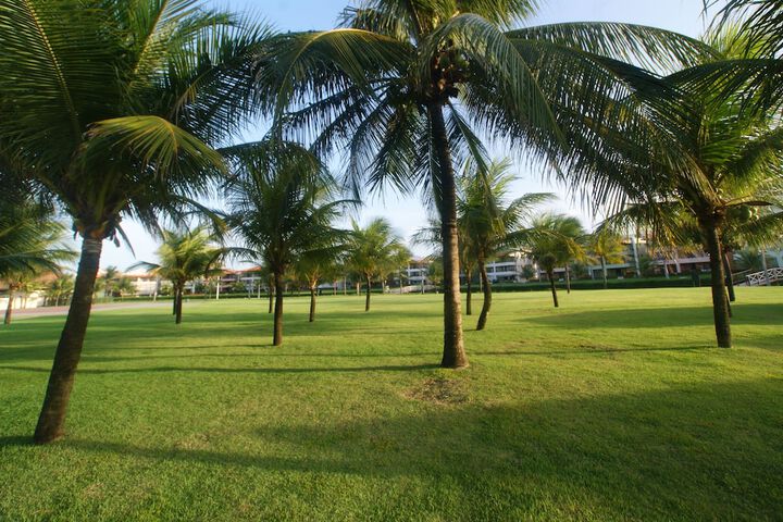 Property Grounds 32 of 46