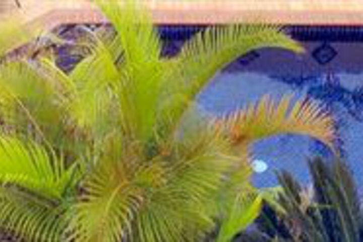Pool 7 of 8